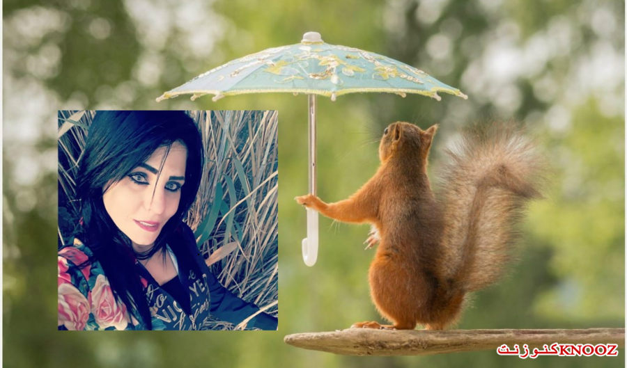 أمطار الخريف الأولى تزين سماء المثلث والشمال